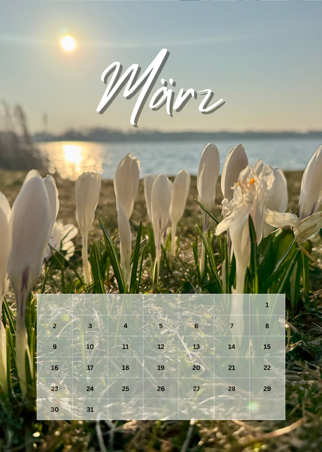 Wandkalender Segeln 2026